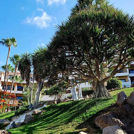 Spacious Apartment With Private Garden In Tenerife South San Miguel de Abona Extérieur photo