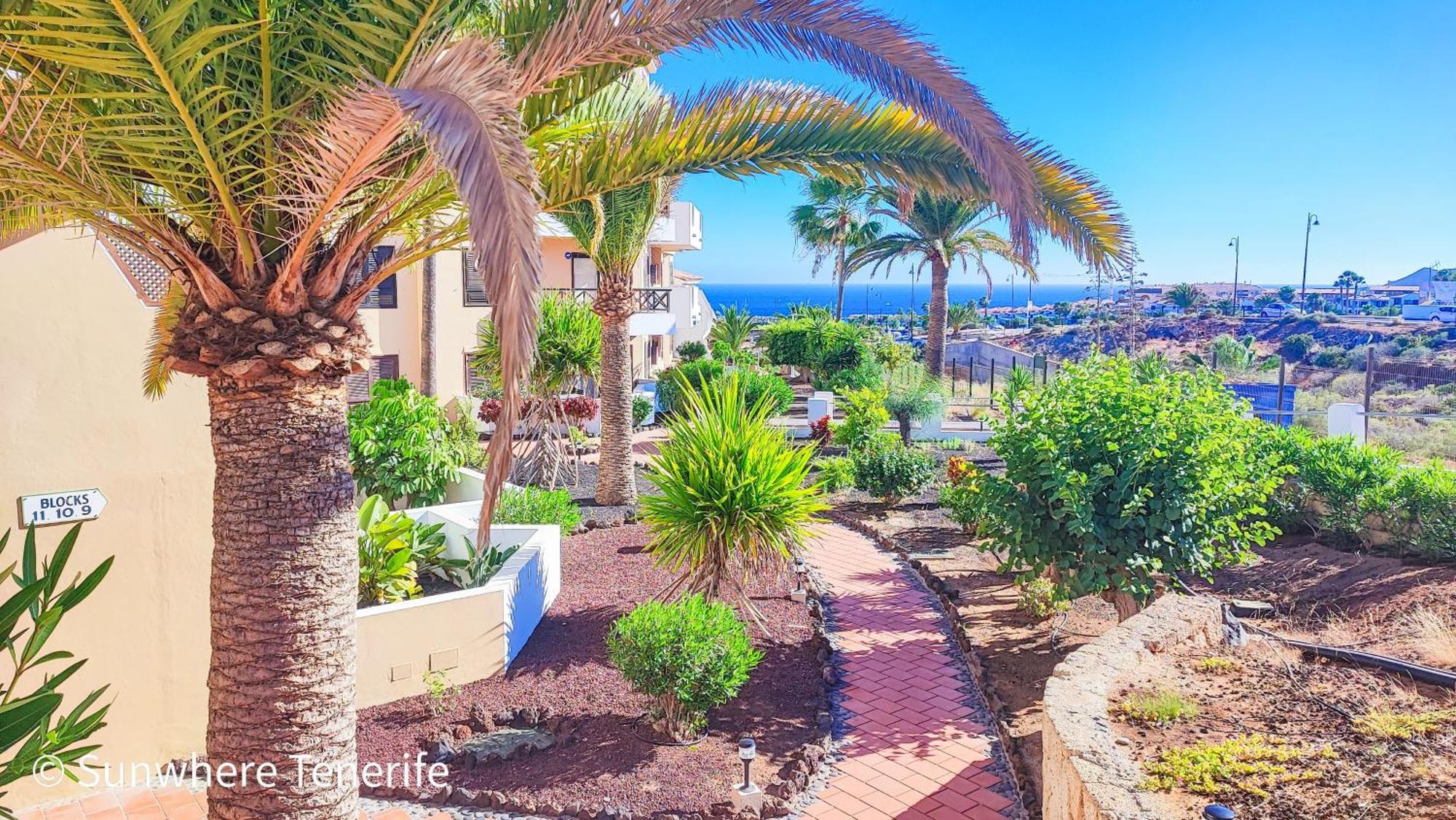 Spacious Apartment With Private Garden In Tenerife South San Miguel de Abona Extérieur photo